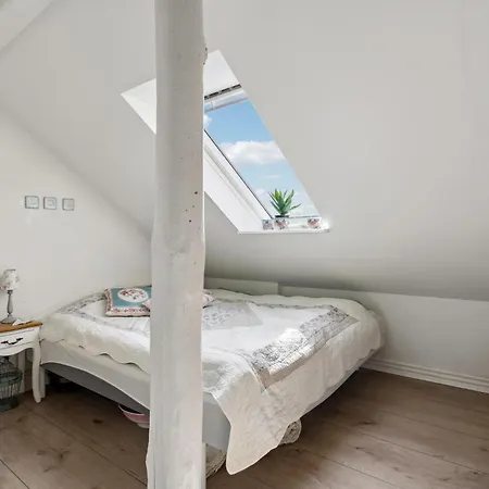 Pet Friendly In Casa vacanze